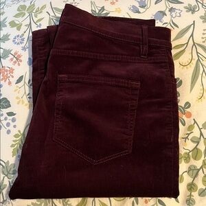 Deep Plum LOFT Corduroy Pants